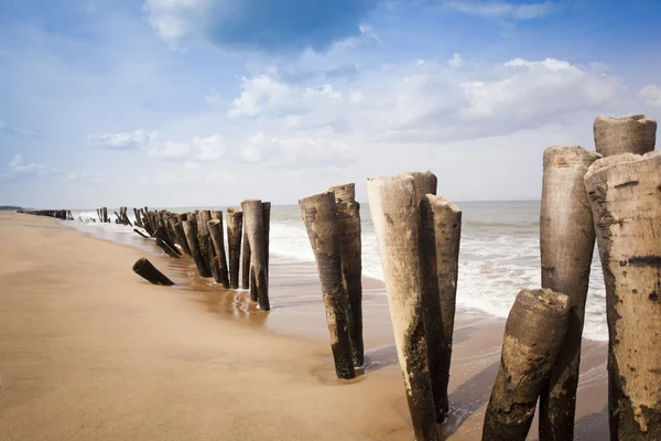 Drewniane słupki na plaży — Zdjęcie stockowe