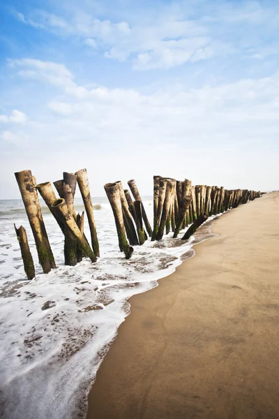 Dřevěné sloupky na pláži — Stock fotografie