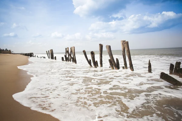 Dřevěné sloupky na pláži — Stock fotografie