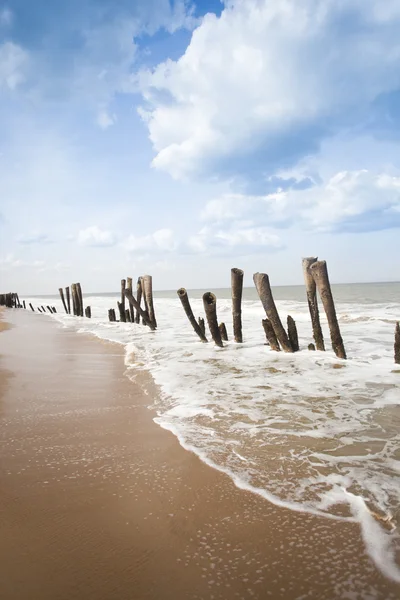 Drewniane słupki na plaży — Zdjęcie stockowe