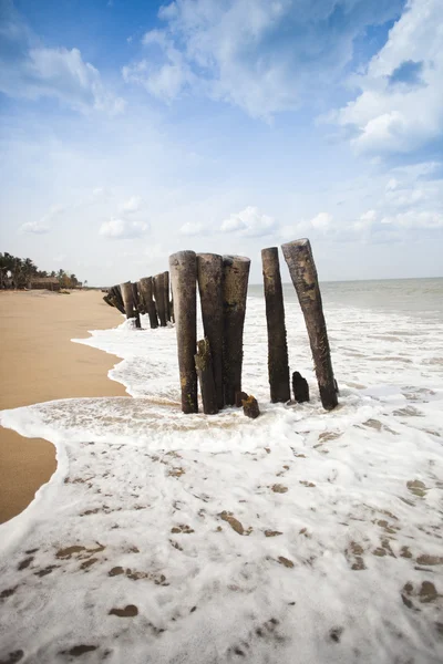 Wooden posts on the beach — Stock Photo, Image