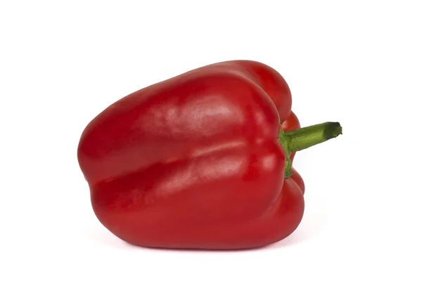 Rote Paprika — Stockfoto