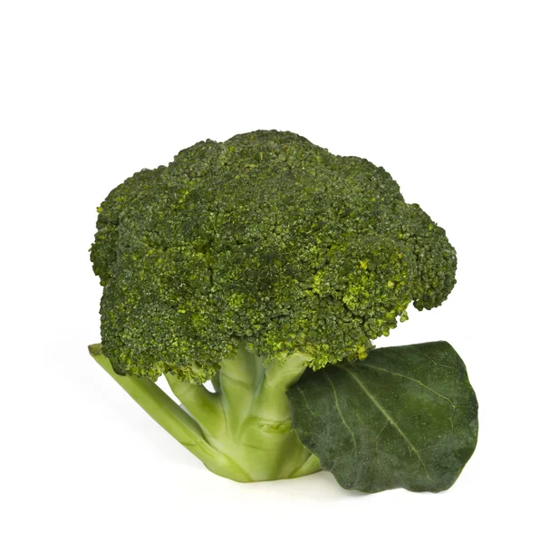 Broccoli — Stock Photo, Image