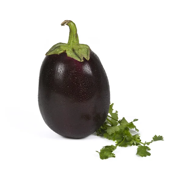 Aubergine met peterselie bladeren — Stockfoto