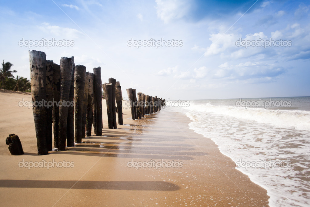 Wooden posts on the beach