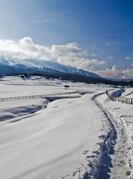 Paesaggio con montagna, Kashmir — Foto Stock