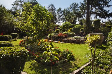 Barış Parkı'nda abu Dağı