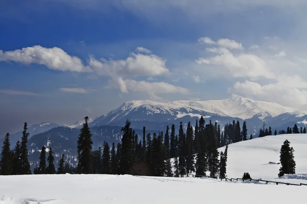 Snow covered landscape, Kashmir — Stock Photo, Image