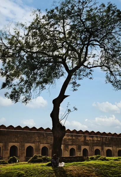 Hombre sentado debajo de un árbol en el Fuerte Agra —  Fotos de Stock
