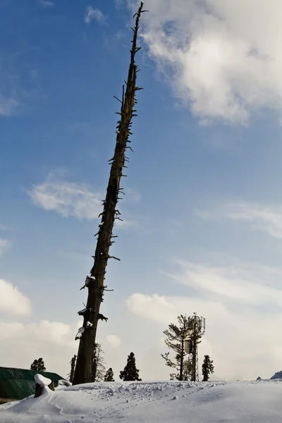 Sněhu krytá hill, Kašmír — Stock fotografie