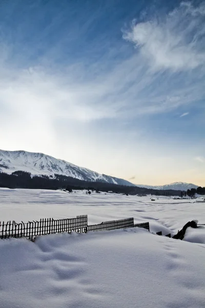 雪に覆われた風景、カシミール — ストック写真