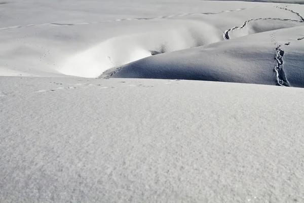 Snow covered landscape, Kashmir — Stock Photo, Image