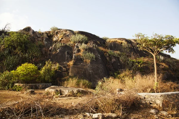 Rock formations at Guru Shikhar — Stock Photo, Image