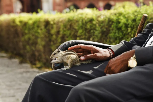 Man with a squirrel sitting on a bench — Stock Photo, Image