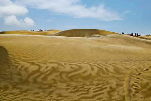 Písečné duny poblíž jaisalmer — Stock fotografie