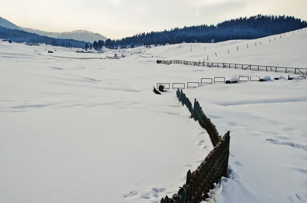 Comprensorio sciistico in inverno, Gulmarg — Foto Stock