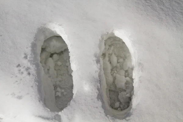 Footprints in snow — Stock Photo, Image