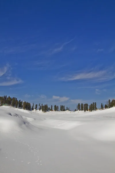 Paesaggio con montagna, Kashmir — Foto Stock