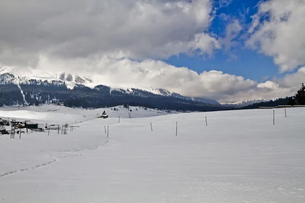 Paesaggio innevato — Foto Stock