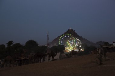 Pushkar deve geceleri Fuarı