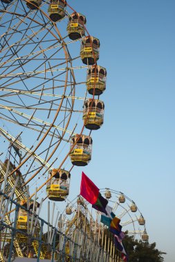 dönme dolap pushkar adil deve