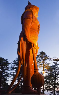 Lord hanuman heykeli jakhoo Tapınağı'nda