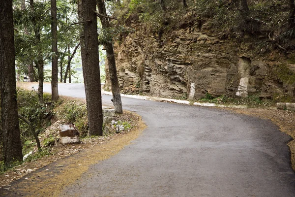 Estrada que passa por uma floresta — Fotografia de Stock