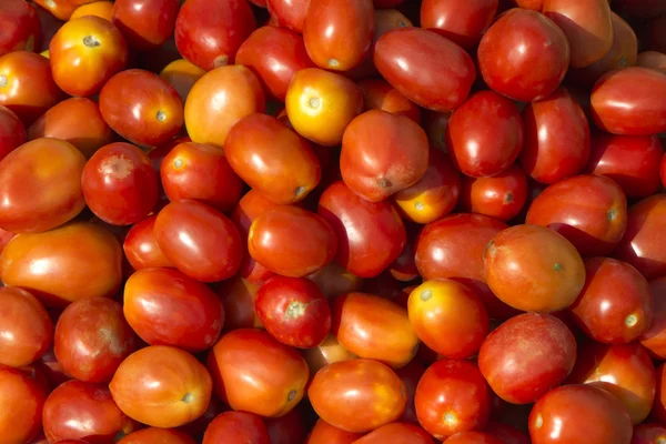 Montão de tomates — Fotografia de Stock