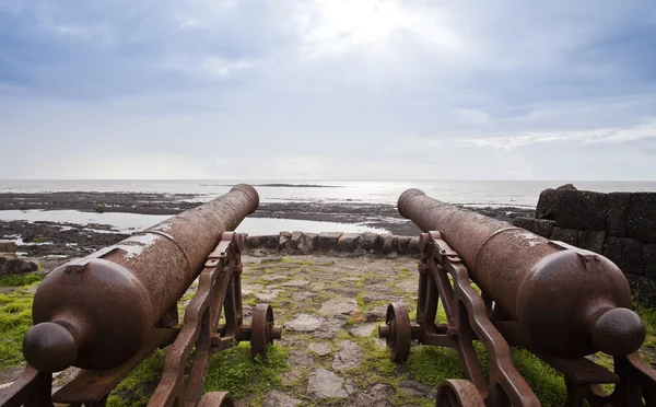 Cannons on the beach — Stock Photo, Image
