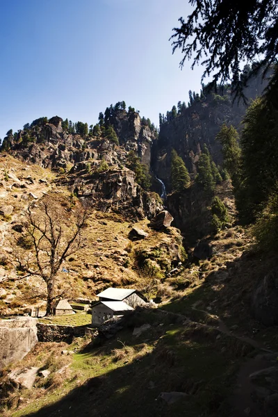 Arbres sur une colline — Photo