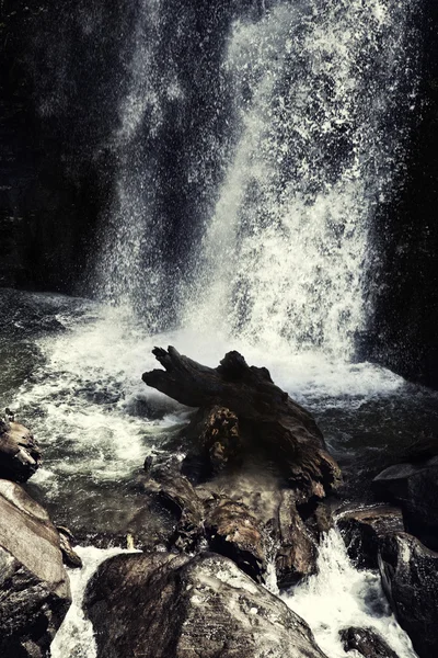 Vattenfall i en skog — Stockfoto