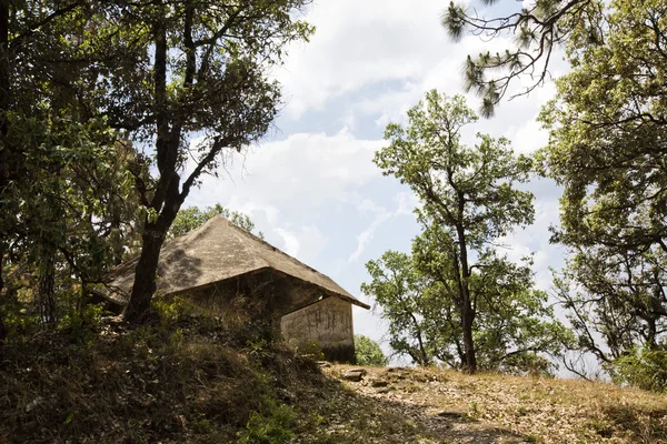 Árboles con una cabaña en una montaña —  Fotos de Stock