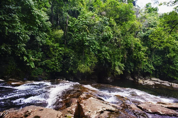 Fluss fließt durch einen Wald — Stockfoto