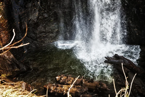 Cachoeira em uma floresta — Fotografia de Stock