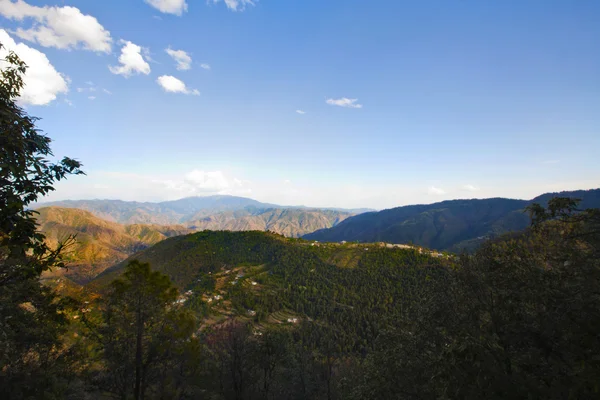 Árboles con cordillera —  Fotos de Stock