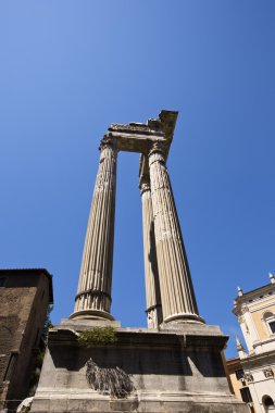 apollo sosianus tapınağı