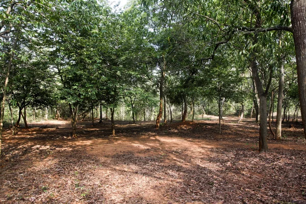 Parque de Turismo Kambala Konda Eco (Majjisrinath ) — Fotografia de Stock