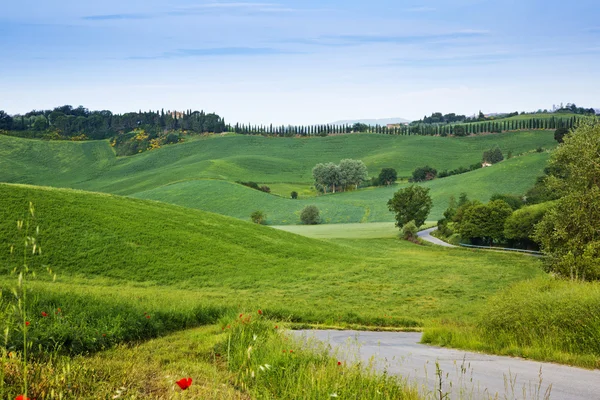 Onverharde weg loopt door een landschap — Stockfoto