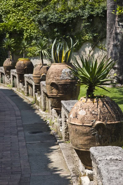 Piante in vaso in un giardino — Foto Stock