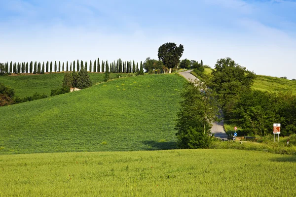 Onverharde weg loopt door een landschap — Stockfoto