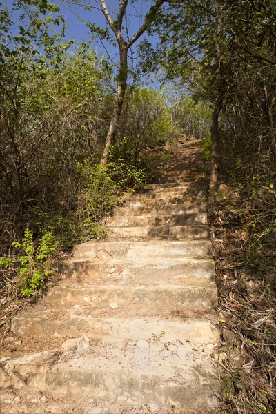 Kambala konda eko turizm park — Stok fotoğraf