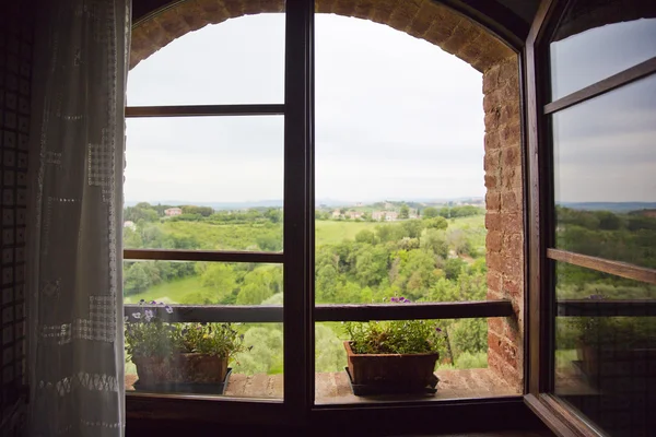 Trees on a hill viewed through from a window — Stock Photo, Image