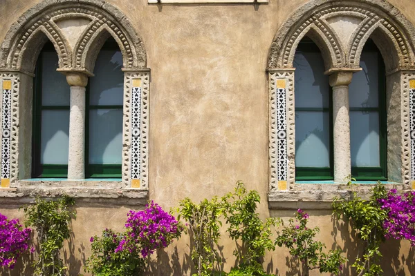 Plantes en pot devant un bâtiment — Photo