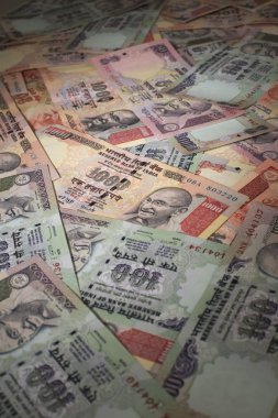 Hint rupi varyasyonları