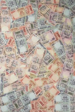 Hint rupi varyasyonları