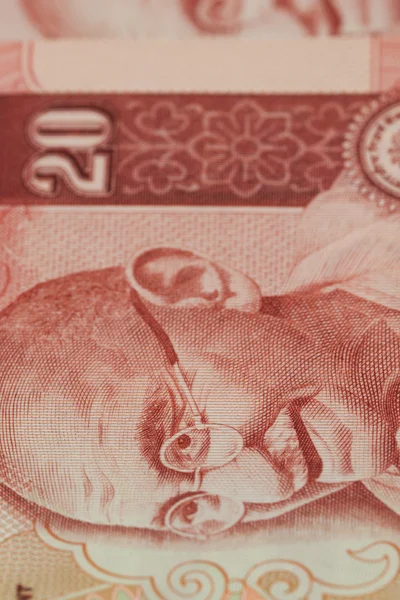 Primer plano del billete indio de veinte rupias —  Fotos de Stock