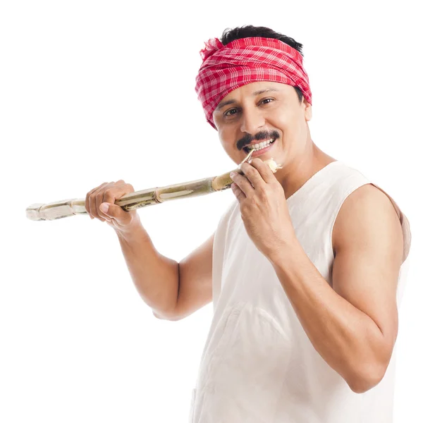 Portrait d'un agriculteur mangeant de la canne à sucre et souriant — Photo