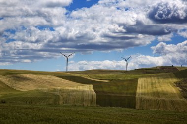 bir tepe üzerinde rüzgar türbinleri