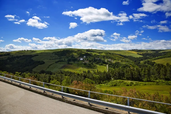 Arbres sur une colline — Photo