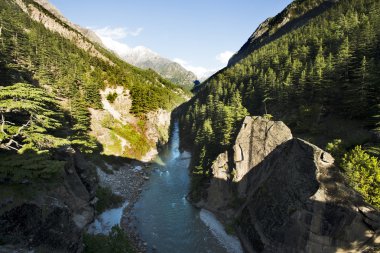 Bhagirathi Nehri, gangotri, uttarkashi district, uttarakhand, 